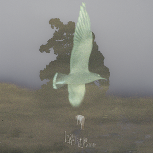 肥胖妓女又肥又大
